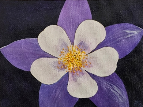 Flores 3